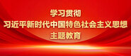 看操逼逼操逼学习贯彻习近平新时代中国特色社会主义思想主题教育_fororder_ad-371X160(2)